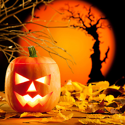 JPG 해외이미지 단풍 낙엽 호박 사람없음 할로윈 오브젝트 잭오랜턴 해외202004 해외포토 포토 잎 채소 파일형식 이미지허브