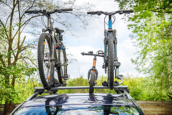 포토 JPG 해외이미지 나무 식물 계절 도로 길 곡선 자동차 하늘 파노라마 풍경 잔디 사람없음 야외 여름 햇빛 태양 환경 경작 자전거 봄 활발 시골 신선 고독 숲 땅 언덕 심플 생태학 평야 세련 해외202004 해외포토 자연요소 교육 감정 선 육상교통 컨셉 교통시설 자연 촬영기법 농사 바이크 파일형식 이미지허브