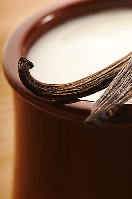 포토 JPG 해외이미지 음식 유리 디저트 사탕 요리 사람없음 장식 노란색 식당 초콜릿 숟가락 우유 사발 달콤 맛 설탕 크림 푸딩 무스 바닐라 시나몬 해외202004 해외포토 컬러 컨셉 재질 유제품 수저 상점 사기그릇 파일형식 이미지허브