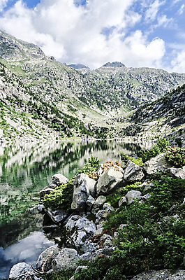 포토 JPG 해외이미지 구름 유럽 자연 하늘 산 풍경 사람없음 야외 목재 물 강 햇빛 반사 평화 환경 흐름 스페인 크리스탈 암초 해외202004 해외포토 자연요소 나무 나라 컨셉 재료 태양 광석 생태계 파일형식 이미지허브