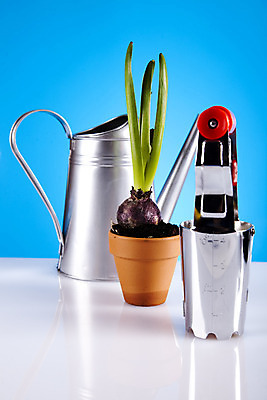 포토 JPG 해외이미지 식물 꽃 지구 줄기 백그라운드 컨셉 잎 자연 부츠 통 건강 사람없음 초록색 농장 환경 정원 봄 성장 공구 캔 보호 냄비 물주기 시작 원예 먼지 갈퀴 개발 돌봄 생태학 심기 세련 해외202004 해외포토 계절 교육 컬러 신발 농업 모션 취미 도구 솥 생태계 파일형식 이미지허브