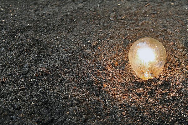 포토 JPG 해외이미지 식물 산업 지구 과학 컨셉 전구 상상 자연 유리 아이디어 따뜻함 사람없음 초록색 경제 빛 환경 힘 흙 재활용 에너지 최고 뜨거움 땅 스마트 에코 먼지 해결 혁명 땅바닥 생태학 필라멘트 해외202004 해외포토 교육 컬러 재질 바닥 친환경 생태계 파일형식 이미지허브