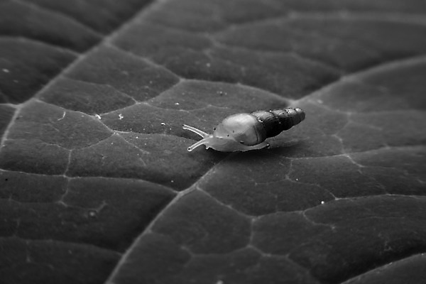 포토 JPG 해외이미지 동물 태국 자연 사람없음 빛 고요 내추럴 해외202004 해외포토 아시아 생태계 파일형식 이미지허브