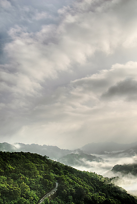 포토 JPG 해외이미지 나무 구름 모션 자연 하늘 아침 산 풍경 사람없음 야외 세로 초록색 빛 평화 환경 계곡 화목 침묵 고요 새벽 안개 흰색 시골 신선 소프트포커스 숲 언덕 역동적 장면 천국 내추럴 뿌연 웅장함 해외202004 해외포토 주간 자연요소 식물 컬러 컨셉 날씨 촬영기법 소리 생태계 파일형식 이미지허브