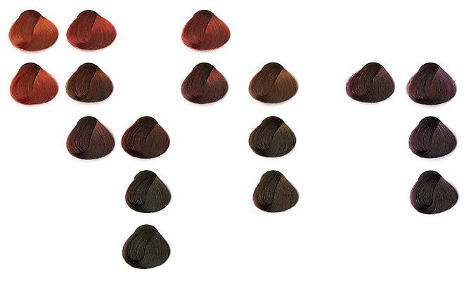 포토 JPG 해외이미지 헤어스타일 갈색머리 사람없음 빨간색 갈색 유행 견본 흰색 팔레트 그늘 제비꽃 잠금 고립 줄서기 해외202004 해외포토 꽃 컬러 모션 보안 파일형식 이미지허브