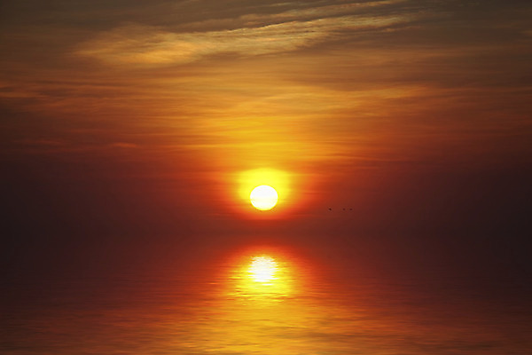 포토 JPG 해외이미지 구름 호수 파도 바다 오렌지 자연 하늘 풍경 사람없음 야외 빨간색 물 빛 햇빛 태양 반사 노란색 일출 맑음 황혼 일몰 새벽 거울 황금 저녁 천국 스카이라인 수평선 해외202004 해외포토 자연요소 컬러 과일 날씨 노을 야간 생태계 파일형식 이미지허브