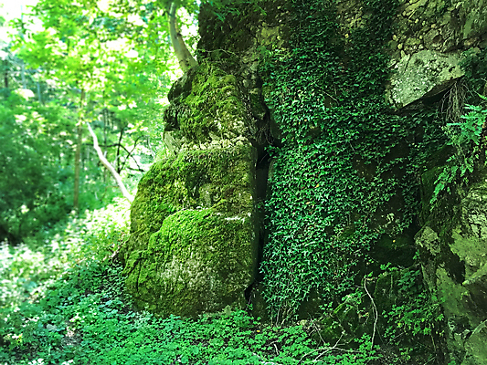 포토 JPG 해외이미지 나무 식물 계절 공원 백그라운드 잎 자연 산 풍경 사람없음 초록색 태양 환경 맑음 봄 숲 장면 내추럴 삼림지대 해외202004 해외포토 자연요소 공공시설 컬러 날씨 생태계 파일형식 이미지허브