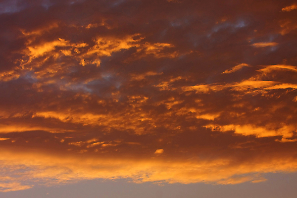 포토 JPG 해외이미지 구름 계절 백그라운드 오렌지 자연 하늘 바람 날씨 풍경 사람없음 야외 가로 빨간색 여름 파란색 빛 우주 환경 보라색 침묵 활발 회색 자유 저녁 제비꽃 장면 폭풍 솜털 흐림 해외202004 해외포토 자연요소 꽃 컬러 컨셉 과일 소리 야간 생태계 파일형식 이미지허브