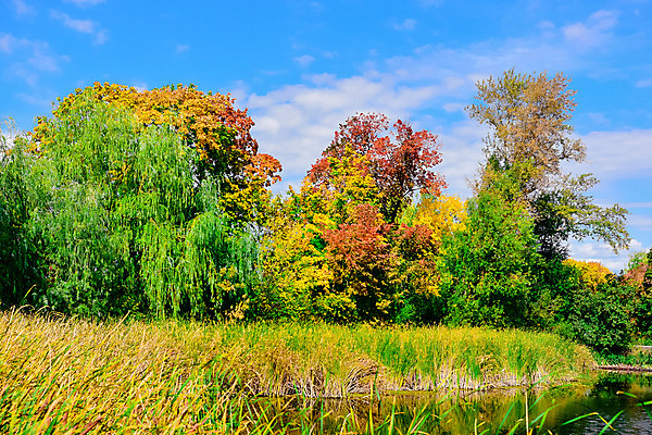 포토 JPG 해외이미지 나무 식물 구름 커플 공원 딸 행복 호수 어린이 2 가족 자연 하늘 엄마 함께함 사랑 사람 풍경 소년 사람없음 야외 초록색 물 여름 파란색 강 반사 걷기 봄 가을 아기 연못 도시 숲 장면 해외202004 해외포토 자연요소 계절 공공시설 남자 감정 컬러 컨셉 관계 모션 생태계 파일형식 이미지허브