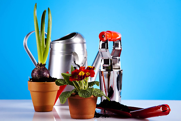 포토 JPG 해외이미지 식물 꽃 지구 줄기 백그라운드 컨셉 잎 자연 부츠 통 건강 사람없음 초록색 농장 환경 정원 봄 성장 공구 캔 보호 냄비 물주기 시작 원예 먼지 갈퀴 개발 돌봄 생태학 심기 세련 해외202004 해외포토 계절 교육 컬러 신발 농업 모션 취미 도구 솥 생태계 파일형식 이미지허브