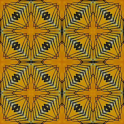 포토 JPG 해외이미지 동물 나비 곤충 백그라운드 패턴 날개 추상 사람없음 컬러풀 벌레 묘사 질감 해외202004 해외포토 컬러 무늬 파일형식 이미지허브