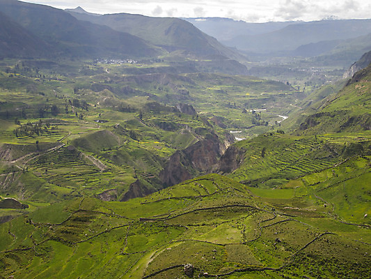 포토 JPG 해외이미지 공원 야생동물 여행 백그라운드 자연 조류 하늘 성공 산 파노라마 풍경 경사 사람없음 야외 여름 파란색 강 컬러풀 세계 골짜기 계곡 미국 봄 황무지 재산 큼 땅 고도 질감 남쪽 깊이 잉카 전국 절정 페루 해외202004 해외포토 동물 계절 공공시설 컬러 컨셉 북아메리카 촬영기법 금융 남아메리카 크기 방향 생태계 파일형식 이미지허브