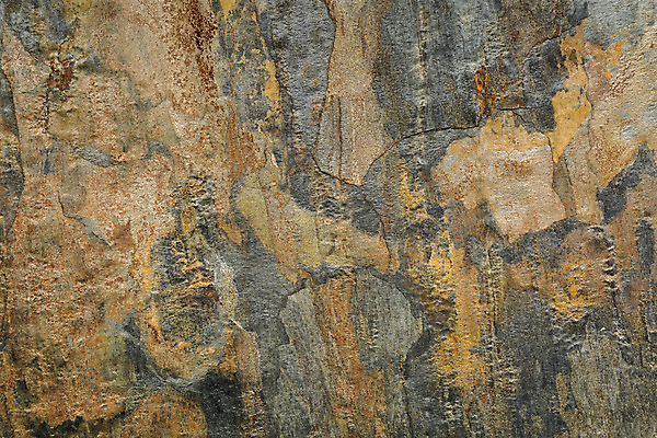 포토 JPG 해외이미지 백그라운드 패턴 추상 사람없음 초록색 보라색 회색 바위 E 질감 정맥 석판 해외202004 해외포토 알파벳 컬러 무늬 돌_바위 혈관 파일형식 이미지허브