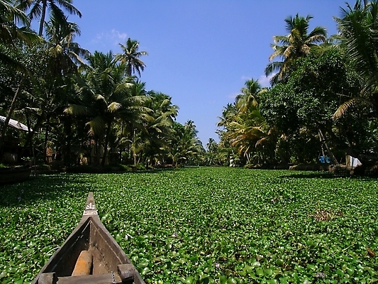 포토 JPG 해외이미지 여행 이끼 사람없음 물 시골 보트 위험 위협 생태계 운하 생태학 채널 해외202004 해외포토 자연요소 교육 컨셉 배_교통 파일형식 이미지허브