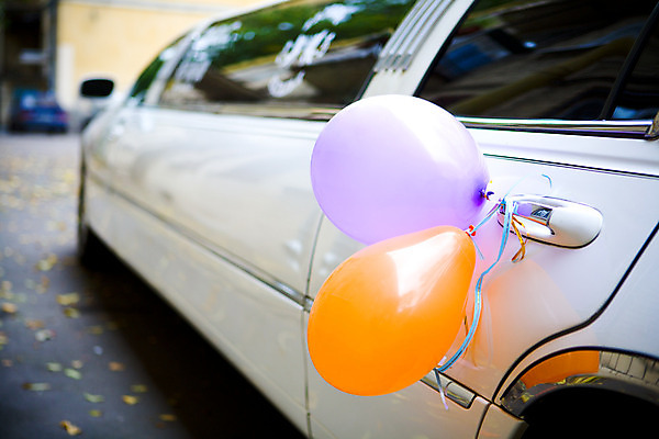 포토 JPG 해외이미지 결혼 손잡이 사람없음 야외 장식 가을 흰색 리무진 해외202004 해외포토 계절 컬러 이벤트 파일형식 이미지허브