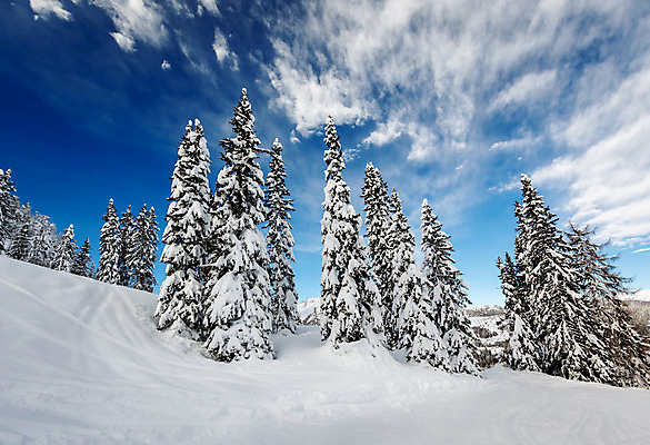 포토 JPG 해외이미지 구름 계절 유럽 여행 크리스마스 겨울 자연 하늘 휴가 스키 휴식 산 풍경 경사 사람없음 야외 파란색 냉동 이탈리아 추위 흰색 소나무 스노우보드 정상 가루 언덕 휴양지 알프스 전나무 선로 절정 눈내림 해외202004 해외포토 자연요소 나무 기념일 나라 컬러 컨셉 겨울스포츠 눈_날씨 장소 보드_스포츠 생태계 파일형식 이미지허브
