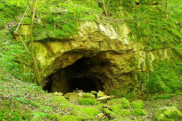 포토 JPG 해외이미지 자연 이끼 사람없음 초록색 어둠 바위 동굴 숲 무서움 양치류 해외202004 해외포토 감정 컬러 돌_바위 생태계 파일형식 이미지허브