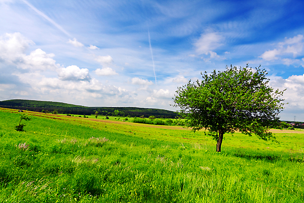 포토 JPG 해외이미지 나무 구름 공원 여행 백그라운드 밭 농업 자연 하늘 산 풍경 사람없음 야외 초록색 물 여름 파란색 태양 계곡 맑음 봄 시골 숲 언덕 장면 내추럴 평야 해외202004 해외포토 자연요소 식물 계절 공공시설 산업 컬러 날씨 생태계 파일형식 이미지허브