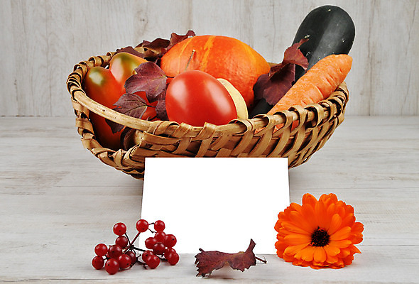 포토 JPG 해외이미지 꽃 종이 음식 백그라운드 잎 패턴 밭 채소 오렌지 텍스트 호박 감자 건강 사람없음 목재 빨간색 농작물 꼬리표 라벨 바구니 공백 당근 수확 벚꽃 가을 흰색 신용카드 묘사 질감 날것 박 후추 추수감사절 스쿼시 금잔화 대본 주키니 해외202004 해외포토 나무 식물 계절 기독교 스포츠 컬러 무늬 농업 과일 재료 뿌리채소 프레임 금융 구기 향신료 파일형식 이미지허브