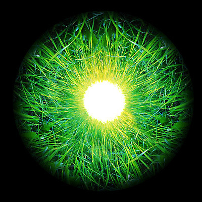 포토 JPG 해외이미지 계절 지구 백그라운드 밭 일러스트 공 자연 추상 풍경 잔디 사람없음 초록색 여름 세계 지구본 3D 환경 행성 흰색 신선 원형 땅 오브젝트 내추럴 고립 생태학 여의주 해외202004 해외포토 도형 식물 교육 컬러 무늬 농업 우주 디지털합성 생태계 파일형식 이미지허브