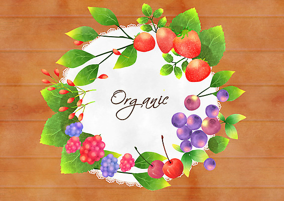 PSD 일러스트 딸기 나뭇잎 프레임 사람없음 유기농 블루베리 국내일러스트 웰빙 잎 과일 파일형식