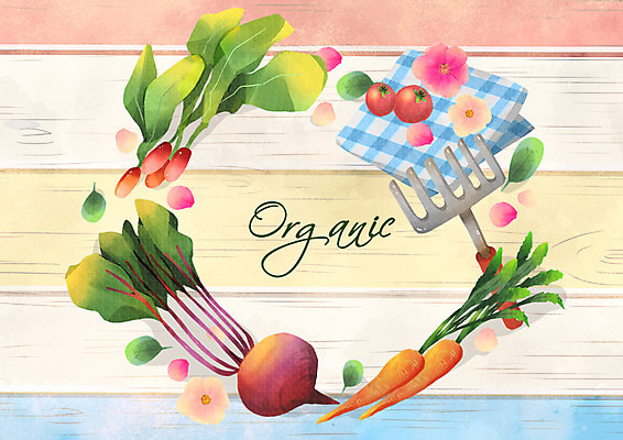 PSD 토마토 일러스트 프레임 사람없음 당근 유기농 적환무 국내일러스트 웰빙 채소 뿌리채소 무 파일형식