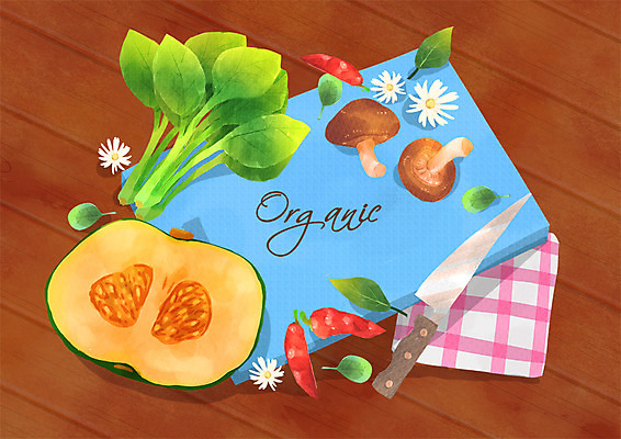 PSD 일러스트 고추 호박 프레임 도마 사람없음 버섯 칼 유기농 손수건 시금치 국내일러스트 웰빙 채소 주방용품 파일형식