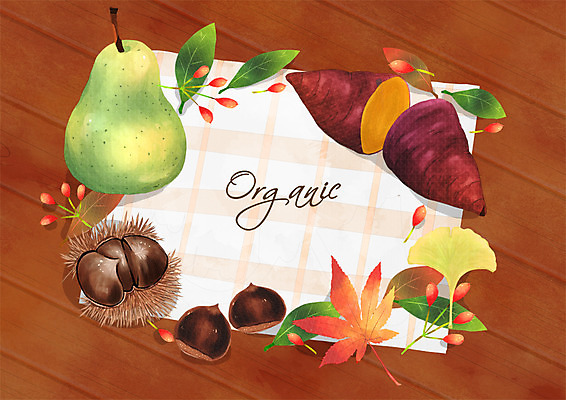 PSD 단풍 일러스트 프레임 사람없음 가을 배 밤 유기농 고구마 국내일러스트 웰빙 계절 잎 과일 뿌리채소 견과류 파일형식