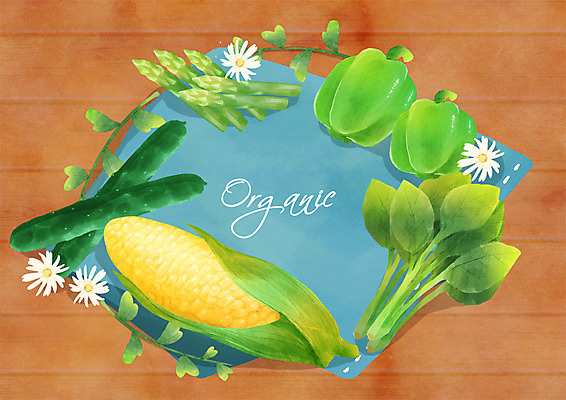 PSD 일러스트 오이 파프리카 프레임 옥수수 사람없음 유기농 아스파라거스 손수건 시금치 국내일러스트 웰빙 채소 곡류 파일형식