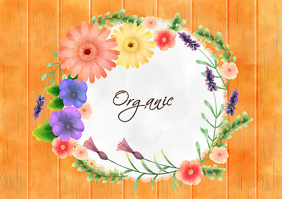 PSD 꽃 일러스트 나뭇잎 프레임 사람없음 유기농 국내일러스트 식물 웰빙 잎 파일형식