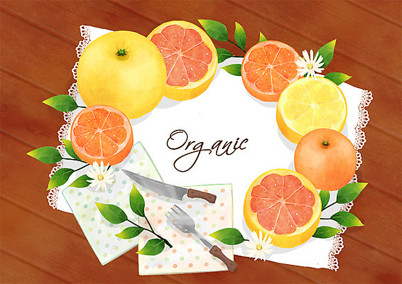 PSD 포크 일러스트 귤 프레임 사람없음 칼 레몬 자몽 유기농 손수건 국내일러스트 식기 웰빙 과일 파일형식