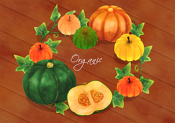 PSD 일러스트 호박 프레임 사람없음 가을 유기농 국내일러스트 웰빙 계절 채소 파일형식