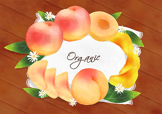 PSD 일러스트 프레임 사람없음 유기농 복숭아 제철과일 국내일러스트 웰빙 과일 제철 파일형식
