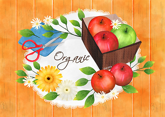 PSD 꽃 일러스트 나뭇잎 프레임 가위 사람없음 사과 유기농 사과박스 국내일러스트 식물 웰빙 잎 과일 문구용품 상자 파일형식