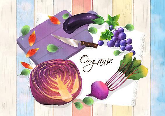 PSD 일러스트 포도 가지 프레임 도마 사람없음 칼 유기농 양배추 적환무 국내일러스트 웰빙 채소 과일 주방용품 무 파일형식