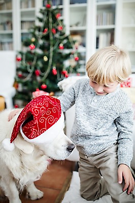 포토 JPG 서양인 외국인 한마리 남자 행복 어린이 크리스마스 거실 산타모자 실내 한명 상반신 앞모습 크리스마스트리 개 국내포토 모자_잡화 1 기념일 감정 뷰포인트 포유류 사람 인종 내부 파일형식