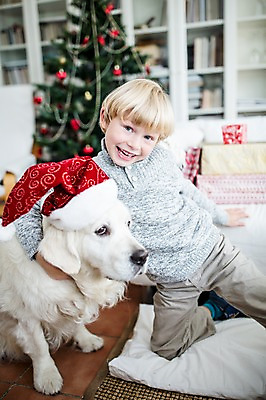 포토 JPG 서양인 외국인 한마리 남자 행복 어린이 크리스마스 거실 산타모자 실내 한명 상반신 앞모습 크리스마스트리 개 국내포토 모자_잡화 1 기념일 감정 뷰포인트 포유류 사람 인종 내부 파일형식