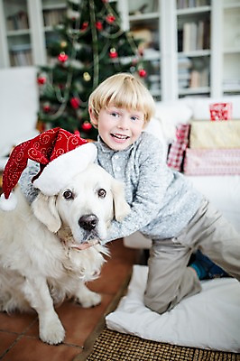 포토 JPG 서양인 외국인 한마리 남자 행복 어린이 크리스마스 거실 산타모자 실내 한명 상반신 앞모습 크리스마스트리 개 국내포토 모자_잡화 1 기념일 감정 뷰포인트 포유류 사람 인종 내부 파일형식