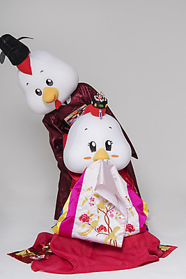 포토 JPG 스튜디오촬영 전신 커플 여자 남자 결혼 새해 실내 서기 앉기 두명 앞모습 30대 닭띠 닭 한복 수줍음 전통혼례 닭캐릭터 혼례복 닭머리 동물탈 인형탈 성인만 정유년 국내포토 한국전통 감정 뷰포인트 동물캐릭터 관계 모션 조류 사람 이벤트 내부 장년 십이지신 전통의상 전통의례 탈 파일형식 2017년