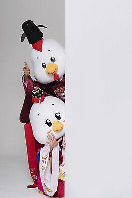 포토 JPG 스튜디오촬영 커플 여자 남자 벽 결혼 새해 사각프레임 실내 손짓 상반신 두명 앞모습 30대 닭띠 닭 한복 전통혼례 닭캐릭터 혼례복 닭머리 동물탈 인형탈 성인만 정유년 국내포토 한국전통 뷰포인트 동물캐릭터 관계 모션 조류 프레임 사람 이벤트 내부 장년 사각형 십이지신 전통의상 전통의례 탈 파일형식 2017년