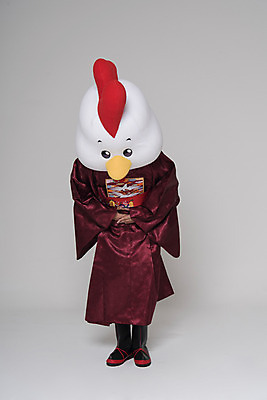 포토 JPG 스튜디오촬영 전신 남자 결혼 새해 실내 한명 서기 앞모습 30대 인사 닭띠 닭 한복 전통혼례 닭캐릭터 손모으기 혼례복 닭머리 동물탈 인형탈 성인남자한명만 정유년 국내포토 1 한국전통 뷰포인트 동물캐릭터 모션 조류 사람 손짓 이벤트 내부 장년 십이지신 예절 전통의상 전통의례 탈 남자한명만 성인남자만 파일형식 2017년