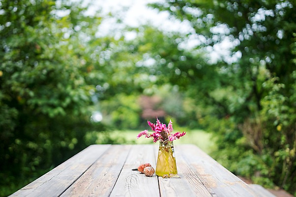 포토 JPG 주간 꽃 화분 자연 한국 풍경 사람없음 야외 국내포토 자연요소 식물 아시아 생태계 파일형식
