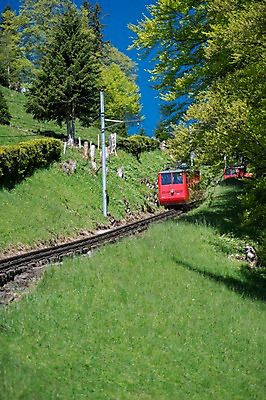 포토 JPG 주간 나무 해외풍경 유럽풍경 풍경 사람없음 야외 스위스 루체른 산악열차 국내포토 자연요소 식물 해외 유럽 기차 파일형식