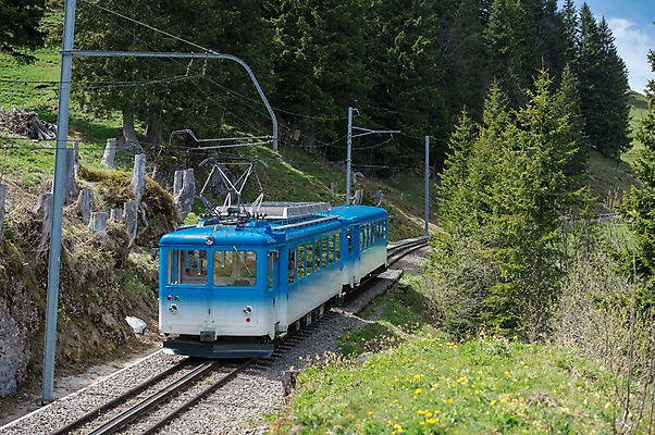 포토 JPG 주간 해외풍경 유럽풍경 풍경 사람없음 야외 스위스 루체른 산악열차 국내포토 자연요소 해외 유럽 기차 파일형식