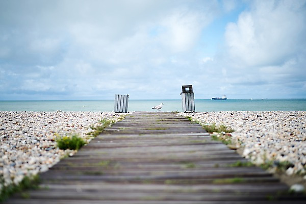 포토 JPG 주간 구름 한마리 해외풍경 바다 유럽풍경 갈매기 하늘 풍경 사람없음 야외 자갈길 국내포토 자연요소 1 해외 유럽 길 조류 파일형식