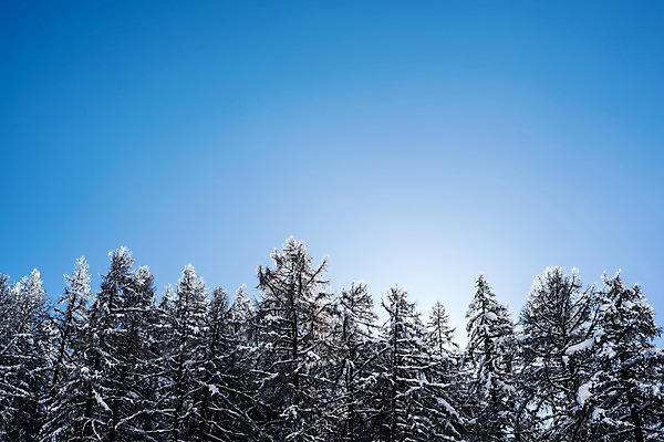 포토 JPG 주간 나무 해외풍경 겨울 유럽풍경 자연 하늘 풍경 사람없음 야외 눈 스위스 체르마트 겨울풍경 국내포토 자연요소 식물 해외 계절 유럽 날씨 생태계 파일형식