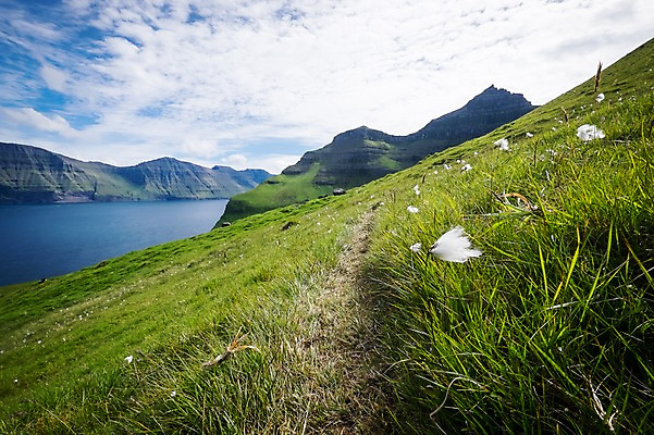 포토 JPG 주간 구름 해외풍경 바다 자연 하늘 산 풍경 초원 사람없음 야외 바위섬 페로제도 보르도이섬 국내포토 자연요소 해외 섬 덴마크 생태계 파일형식