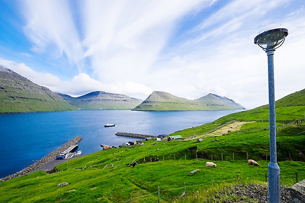 포토 JPG 주간 구름 해외풍경 바다 두마리 자연 하늘 산 풍경 초원 사람없음 야외 맑음 양 페로제도 보르도이섬 국내포토 자연요소 해외 섬 2 포유류 날씨 덴마크 생태계 파일형식