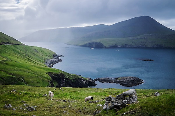 포토 JPG 주간 해외풍경 바다 섬 두마리 자연 풍경 사람없음 야외 어둠 양 언덕 먹구름 흐림 페로제도 보가르섬 국내포토 자연요소 해외 2 포유류 날씨 덴마크 생태계 파일형식 구름_자연