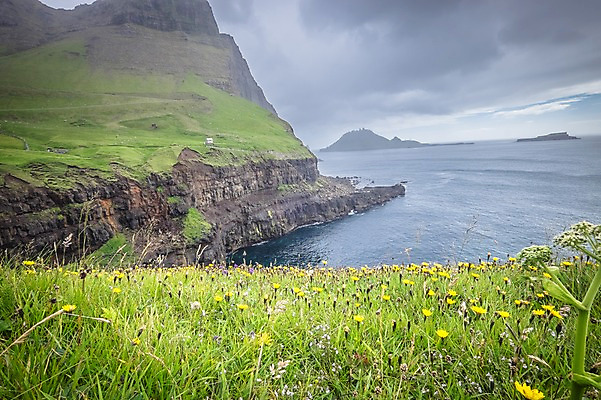 포토 JPG 주간 해외풍경 바다 자연 풍경 사람없음 야외 들꽃 흐림 페로제도 보가르섬 국내포토 자연요소 해외 꽃 섬 날씨 덴마크 생태계 파일형식